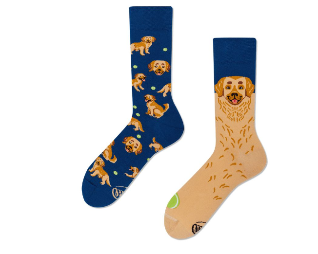 Chaussettes chien