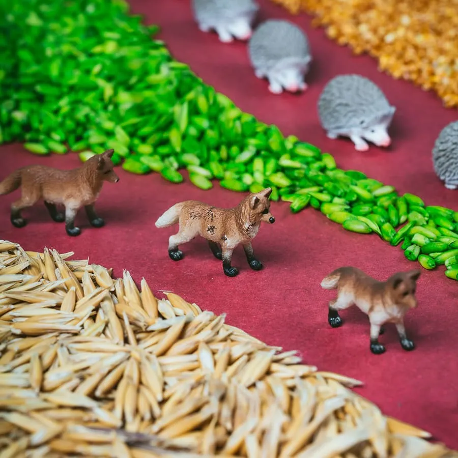 Bouteille sensorielle spy | Forêt – Petit Boum – Image 2