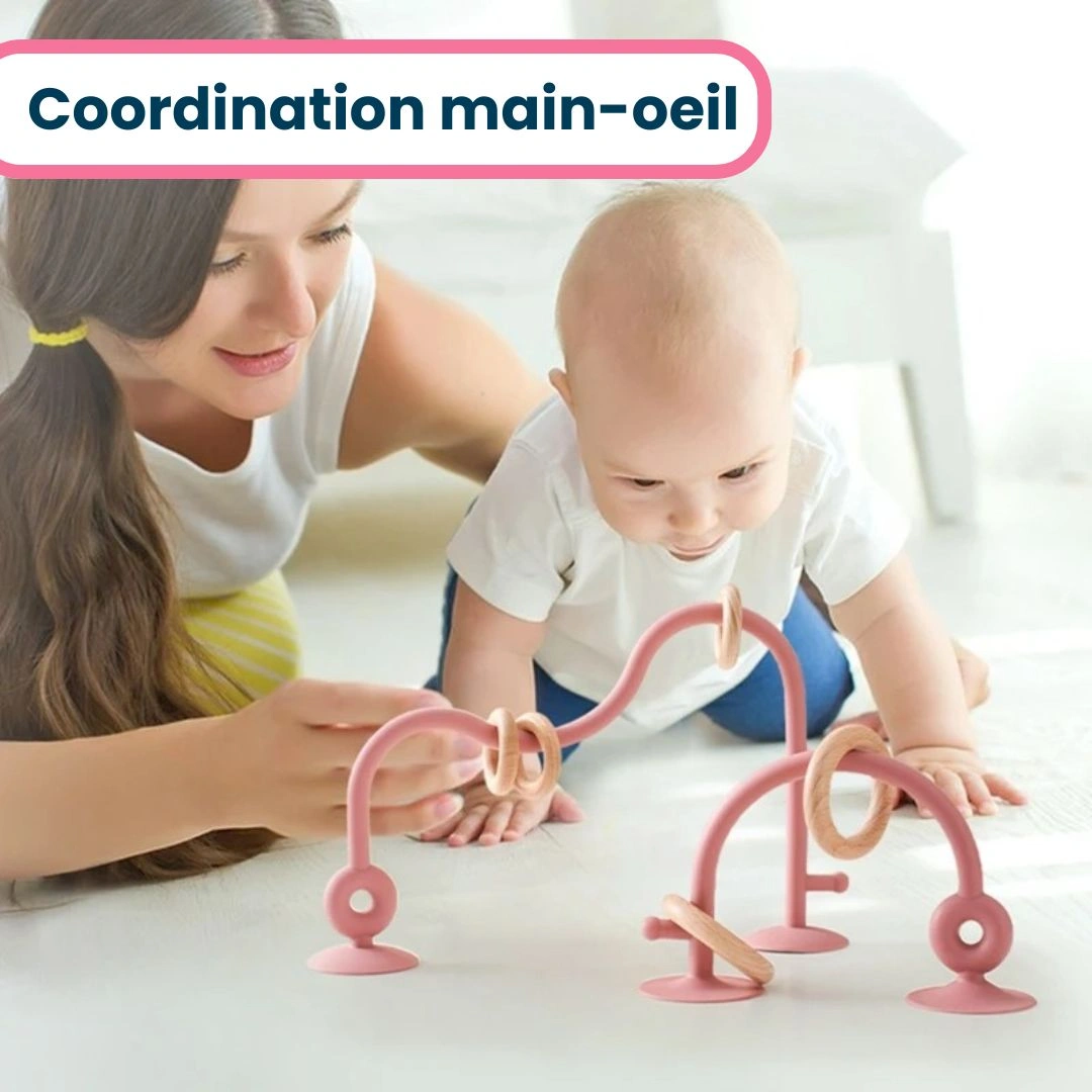 Circuit Anneaux Dentition – Image 3