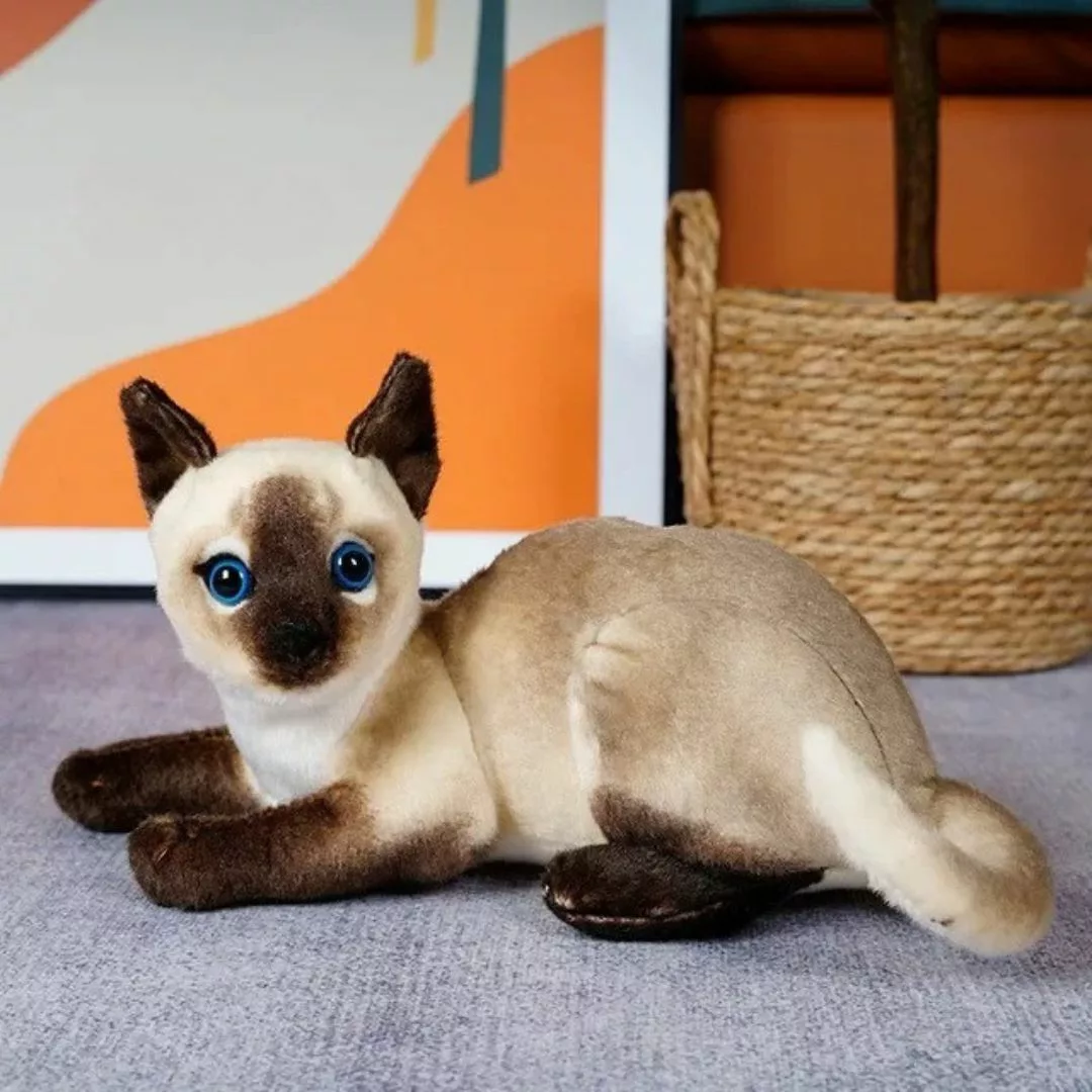 Chaton en peluche – Ultra doux et réaliste pour enfants et bébés – Compagnon câlin apaisant – Image 8