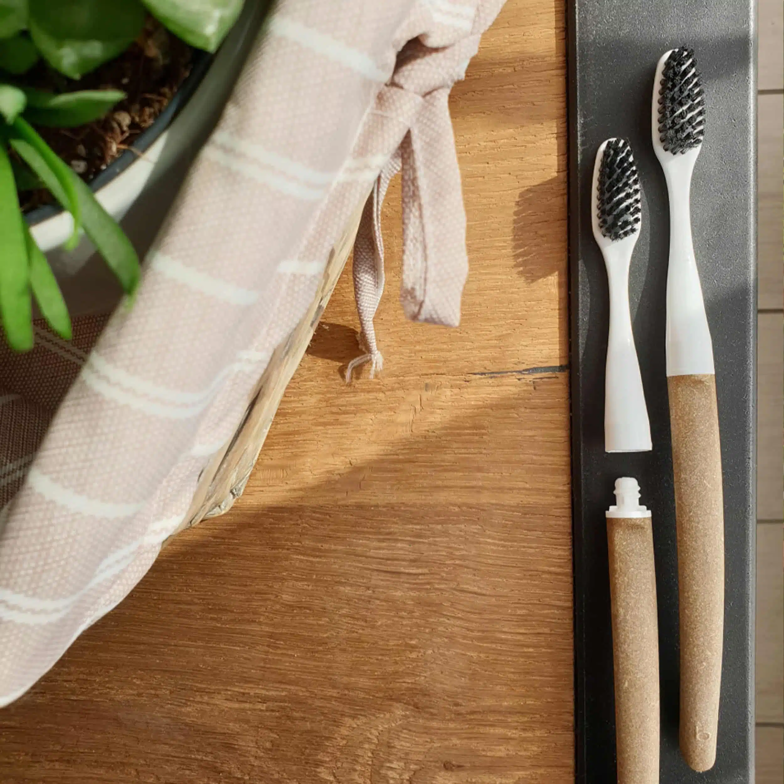 Brosse à dents en bois à tête interchangeable Bioseptyl – Poils souples – manche liège – Image 4