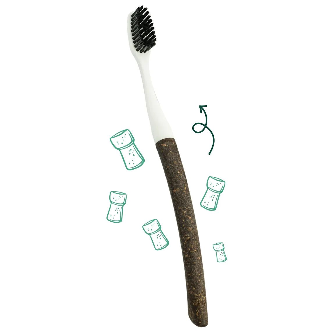 Brosse à dents en bois à tête interchangeable Bioseptyl – Poils souples – manche liège
