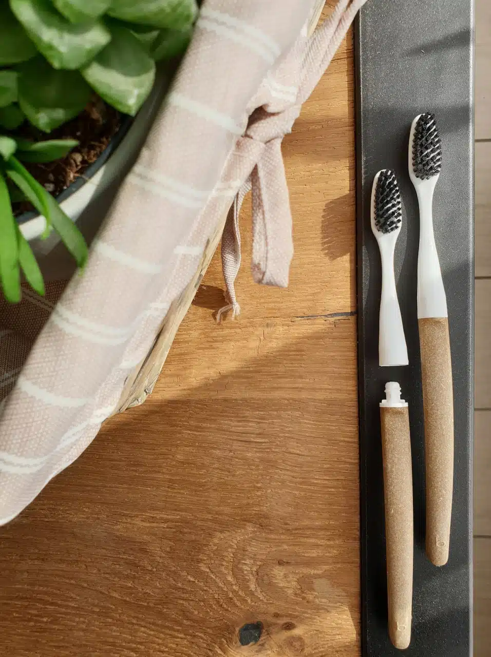 Brosse à dents en bois à tête interchangeable Bioseptyl – Poils souples – manche liège – Image 6