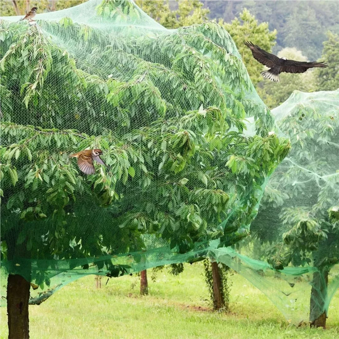 Filet de protection arbres contre oiseaux – Image 7