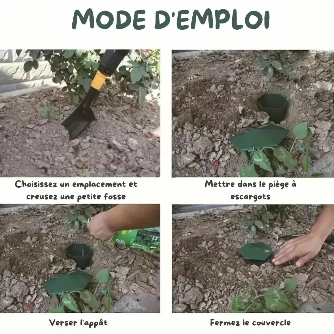 Piège à limaces sans produit chimique – Image 4