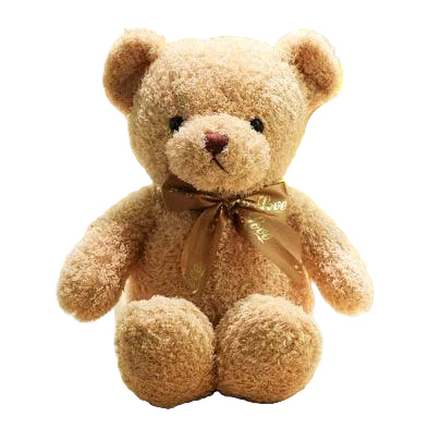 Ours en Peluche Bébé